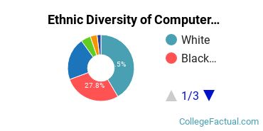 Ethnic Diversity of Computer & Information Sciences Majors at Metropolitan State University