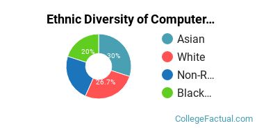 Ethnic Diversity of Computer & Information Sciences Majors at Metropolitan State University