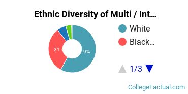 Ethnic Diversity of Multi / Interdisciplinary Studies Majors at Mississippi State University