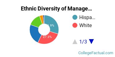 Ethnic Diversity of Management Sciences & Quantitative Methods Majors at National Louis University