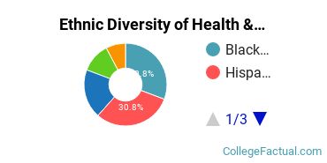 Ethnic Diversity of Health & Medical Administrative Services Majors at National Louis University