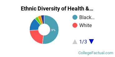 Ethnic Diversity of Health & Medical Administrative Services Majors at National Louis University