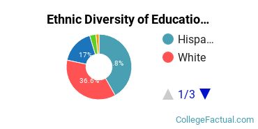 Ethnic Diversity of Education Majors at National University