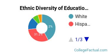Ethnic Diversity of Education Majors at National University