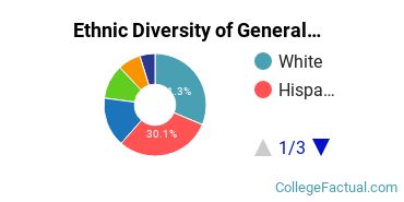 Ethnic Diversity of General Architecture Majors at New Jersey Institute of Technology