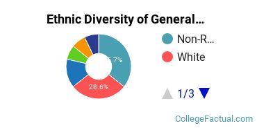 Ethnic Diversity of General Architecture Majors at New Jersey Institute of Technology