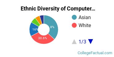 Ethnic Diversity of Computer Information Systems Majors at New Jersey Institute of Technology