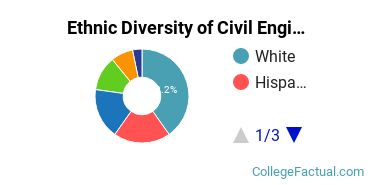 Ethnic Diversity of Civil Engineering Majors at New Jersey Institute of Technology
