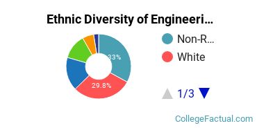 Ethnic Diversity of Engineering Majors at New Jersey Institute of Technology
