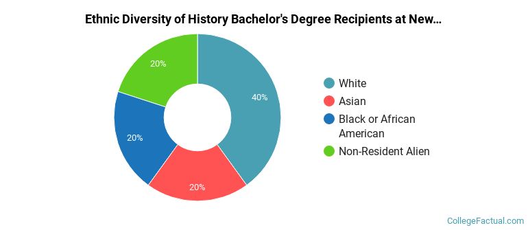 Ethnic diversity of History majors at New Jersey Institute of Technology