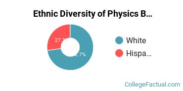 Ethnic Diversity of Physics Majors at New Mexico Institute of Mining and Technology