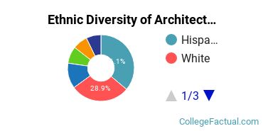 Ethnic Diversity of Architecture & Related Services Majors at New York Institute of Technology