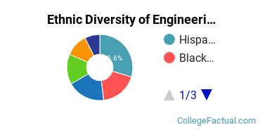 Ethnic Diversity of Engineering Technologies Majors at New York Institute of Technology