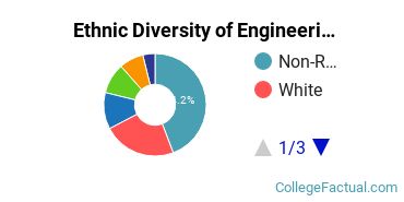Ethnic Diversity of Engineering Majors at New York Institute of Technology