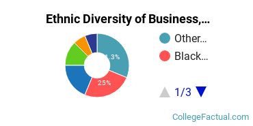 Ethnic Diversity of Business, Management & Marketing Majors at New York University