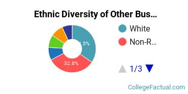 Ethnic Diversity of Other Business, Management & Marketing Majors at New York University