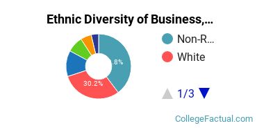 Ethnic Diversity of Business, Management & Marketing Majors at New York University