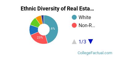 Ethnic Diversity of Real Estate Majors at New York University
