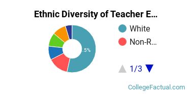 Ethnic Diversity of Teacher Education Subject Specific Majors at New York University