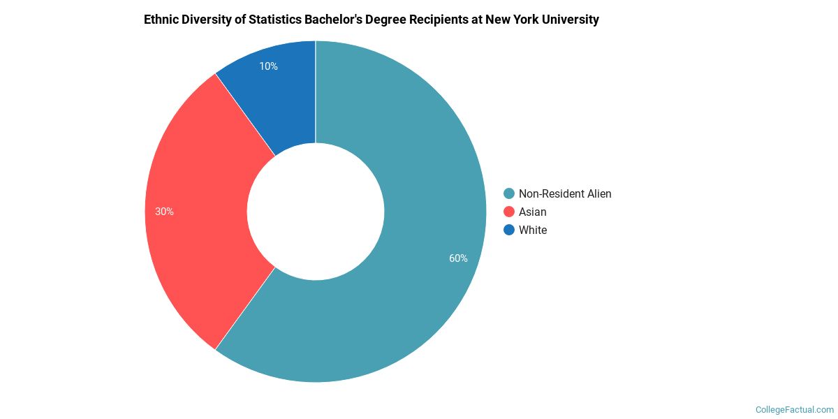 The Stats Major at New York University