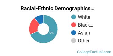 Racial-Ethnic Demographics of Northeastern Illinois University Faculty