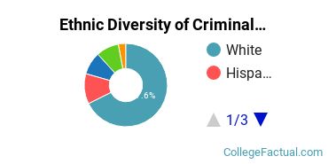 Ethnic Diversity of Criminal Justice & Corrections Majors at Northeastern University