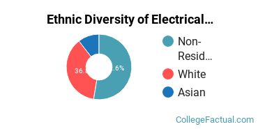 Ethnic Diversity of Electrical Engineering Majors at Northern Illinois University