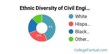 Ethnic Diversity of Civil Engineering Majors at Northwestern University