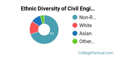 Ethnic Diversity of Civil Engineering Majors at Northwestern University