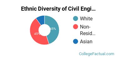 Ethnic Diversity of Civil Engineering Majors at Ohio State University - Main Campus