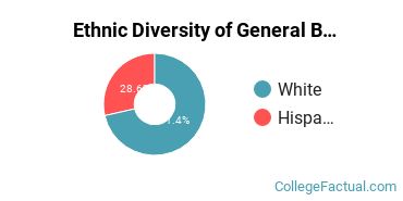 Ethnic Diversity of General Business/Commerce Majors at Oklahoma Christian University