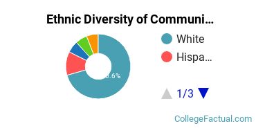 Ethnic Diversity of Communication & Journalism Majors at Oklahoma Christian University
