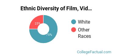 Ethnic Diversity of Film, Video & Photographic Arts Majors at Oklahoma State University Institute of Technology