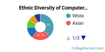 Ethnic Diversity of Computer Science Majors at Pace University - New York