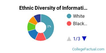 Ethnic Diversity of Information Technology Majors at Pace University - New York