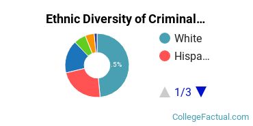 Ethnic Diversity of Criminal Justice & Corrections Majors at Pace University - New York