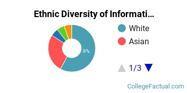 Ethnic Diversity of Information Technology Majors at Pennsylvania State University - Harrisburg