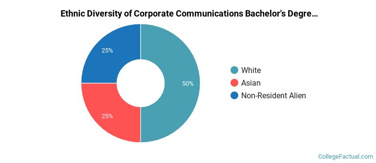 Ethnic diversity of Corporate Communications majors at Pennsylvania State University-Penn State York