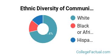 Ethnic Diversity of Communication & Journalism Majors at Presentation College