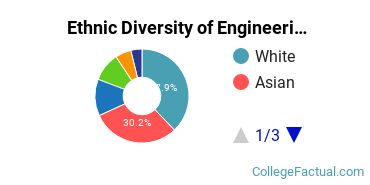 Ethnic Diversity of Engineering Majors at Princeton University