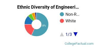 Ethnic Diversity of Engineering Majors at Princeton University