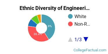 Ethnic Diversity of Engineering Technologies Majors at Purdue University - Main Campus