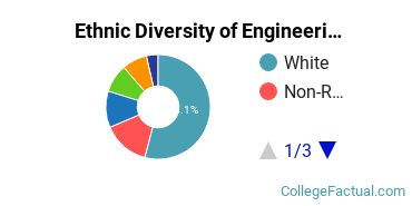 Ethnic Diversity of Engineering Majors at Rensselaer Polytechnic Institute