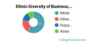 Ethnic Diversity of Business, Management & Marketing Majors at Rhode Island College