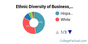 Ethnic Diversity of Business, Management & Marketing Majors at Saint Edward's University
