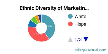 Ethnic Diversity of Marketing Majors at Saint Edward's University