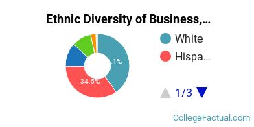 Ethnic Diversity of Business, Management & Marketing Majors at Saint Edward's University