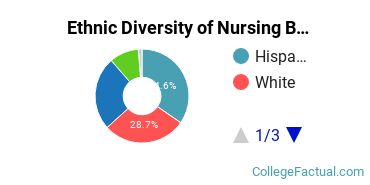 Ethnic Diversity of Nursing Majors at San Diego State University