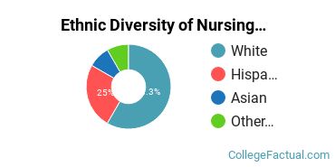 Ethnic Diversity of Nursing Majors at San Diego State University