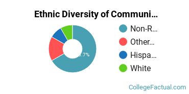 Ethnic Diversity of Communication & Journalism Majors at School of Visual Arts